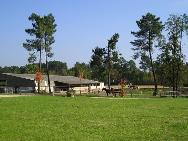 Manoir Du Grand Vignoble Hotel Saint-Julien-de-Crempse Buitenkant foto