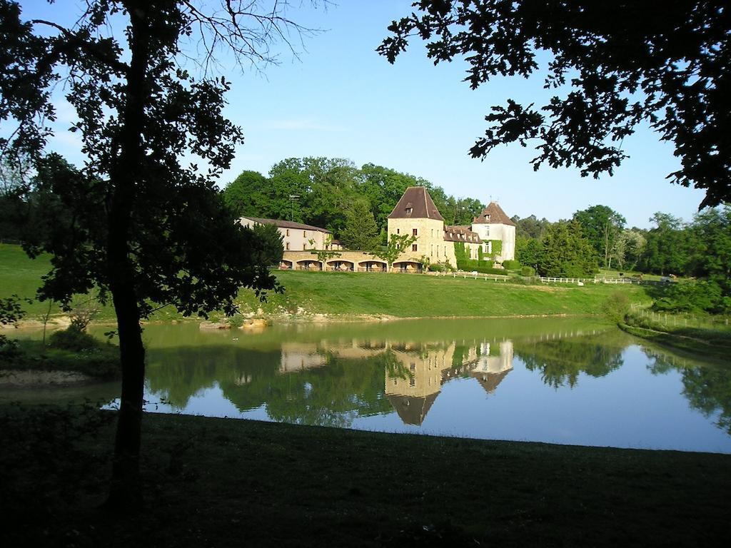 Manoir Du Grand Vignoble Hotel Saint-Julien-de-Crempse Buitenkant foto