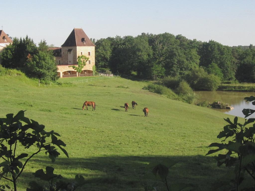 Manoir Du Grand Vignoble Hotel Saint-Julien-de-Crempse Buitenkant foto