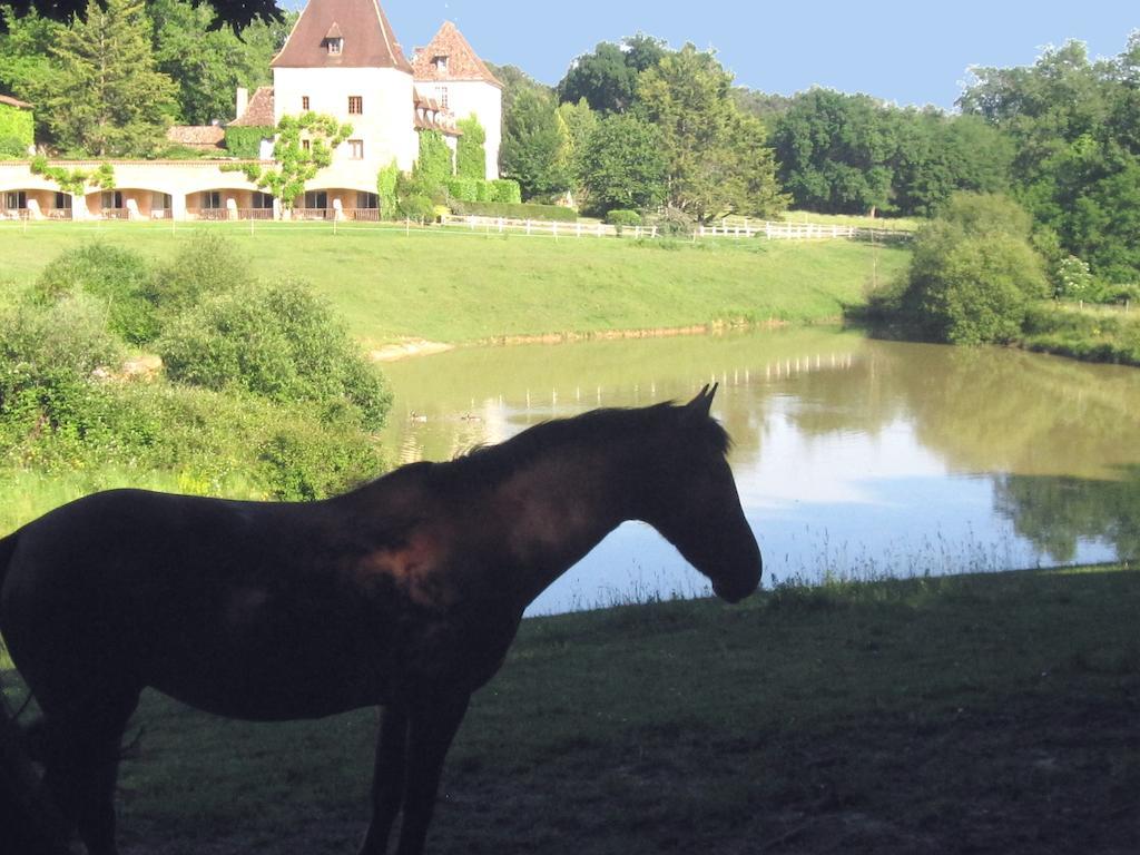 Manoir Du Grand Vignoble Hotel Saint-Julien-de-Crempse Buitenkant foto